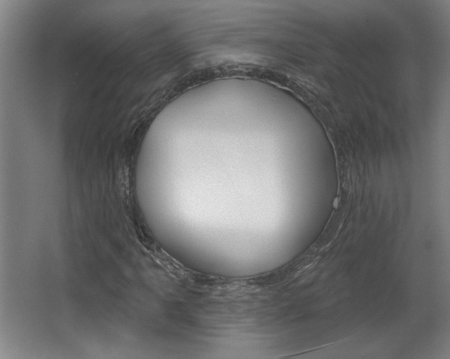 X0000068721061200604280918