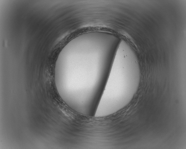 X0000068721064200604280918