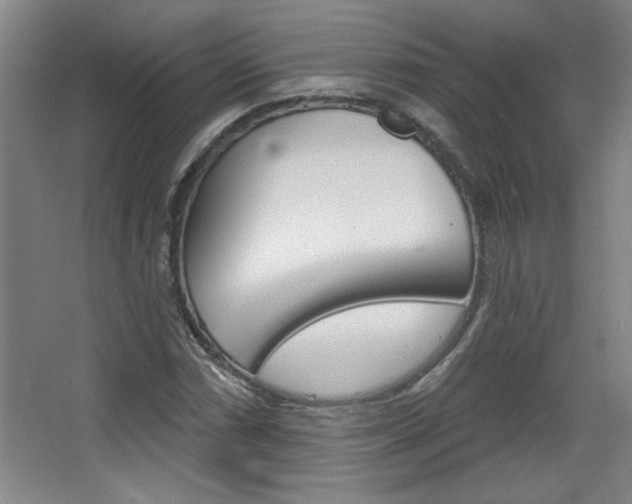 X0000068721066200604280918