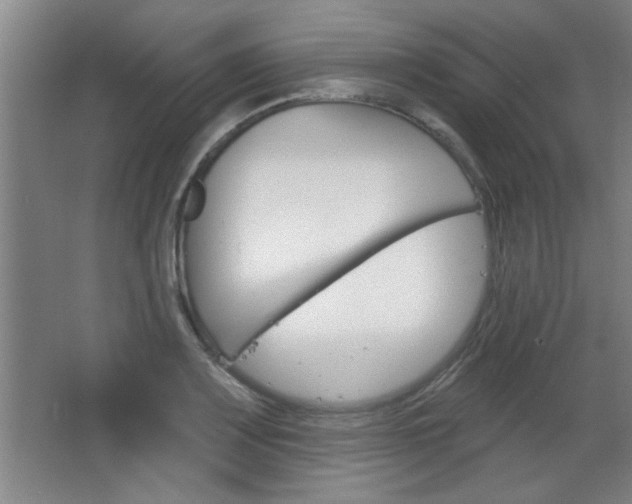 X0000068721083200604280918