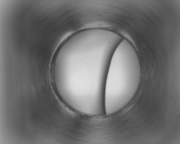 X0000068721087200604280918