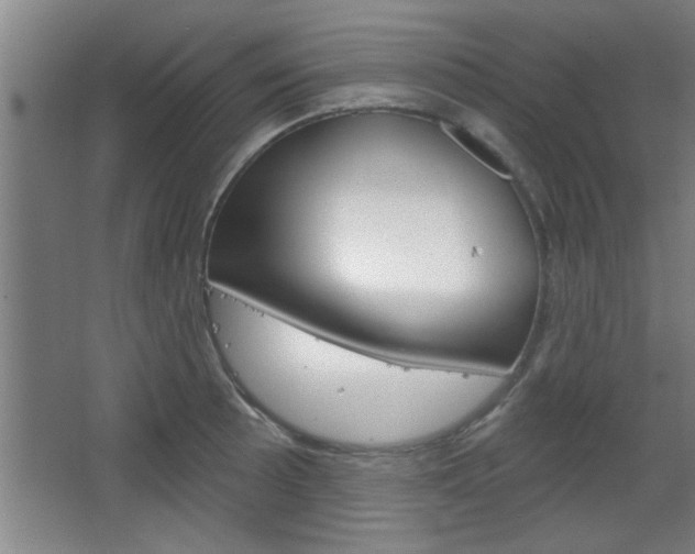 X0000068721089200604280918