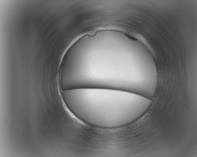 X0000068721100200604280918
