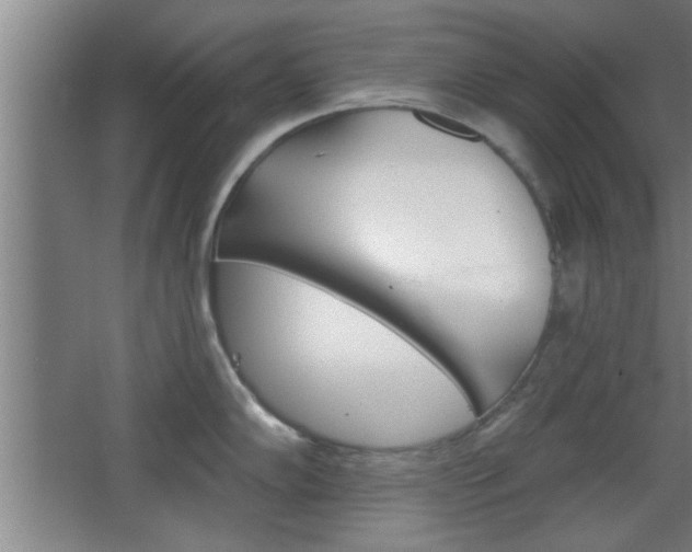 X0000068721102200604280918