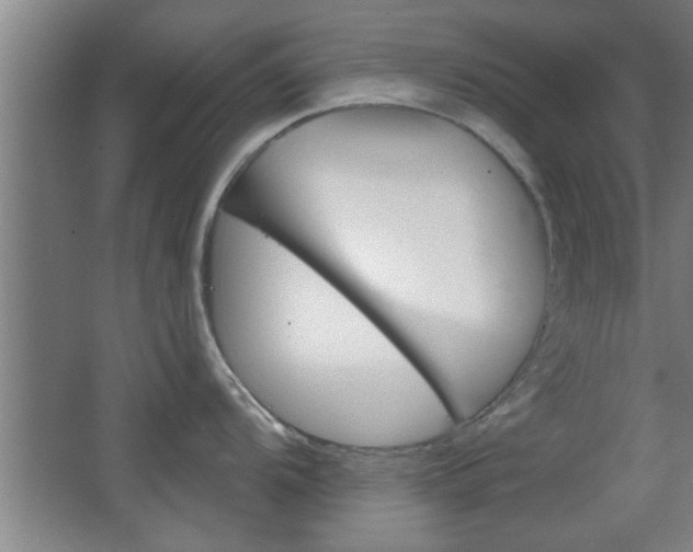 X0000068721104200604280918