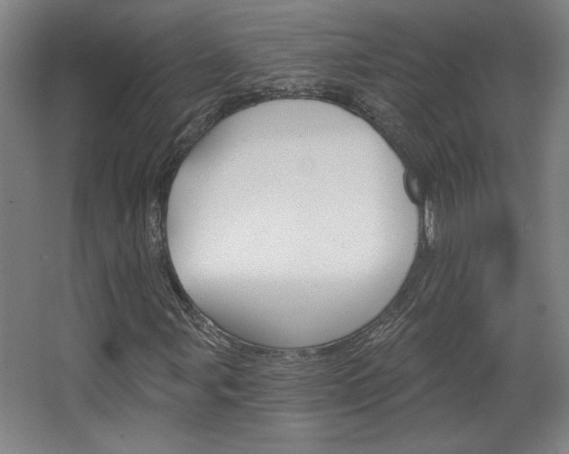 X0000068721107200604280917