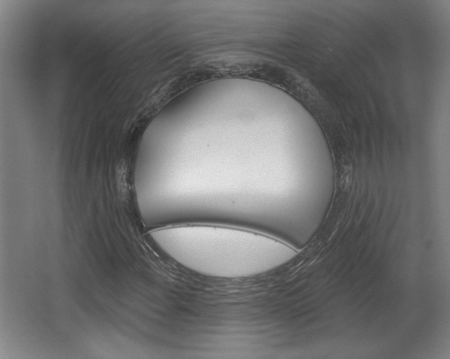 X0000068721108200604280917