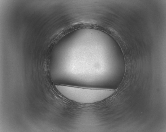 X0000068721110200604280917