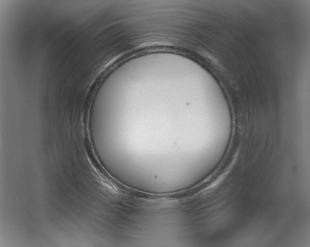 X0000068721113200604280917