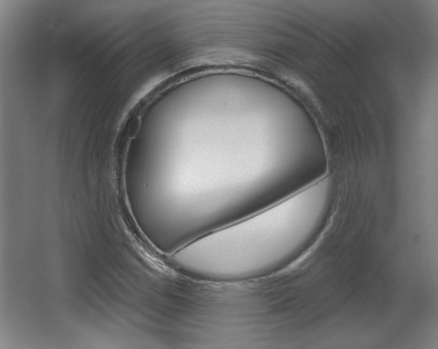 X0000068721114200604280917