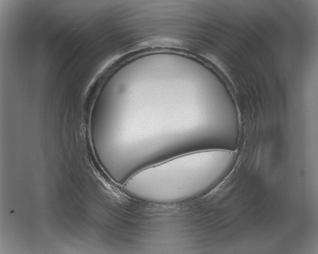 X0000068721115200604280917