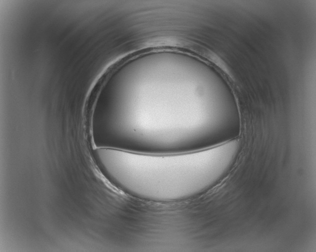 X0000068721116200604280917