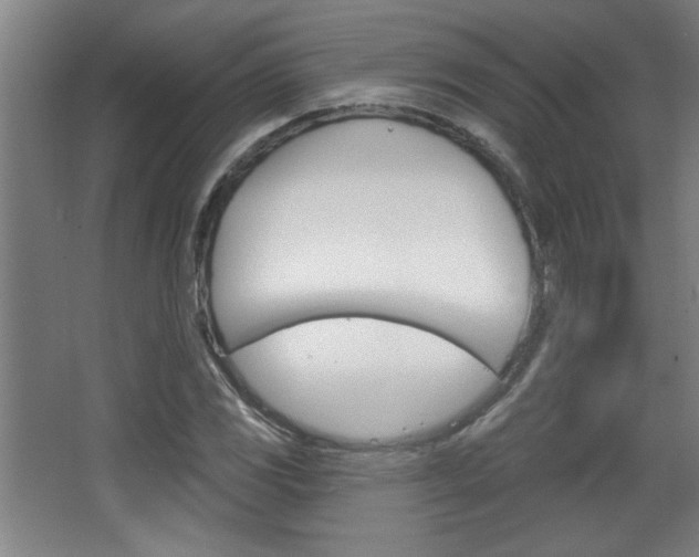 X0000068721117200604280917