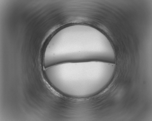 X0000068721122200604280917