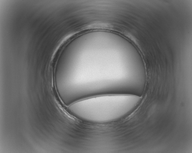 X0000068721123200604280917