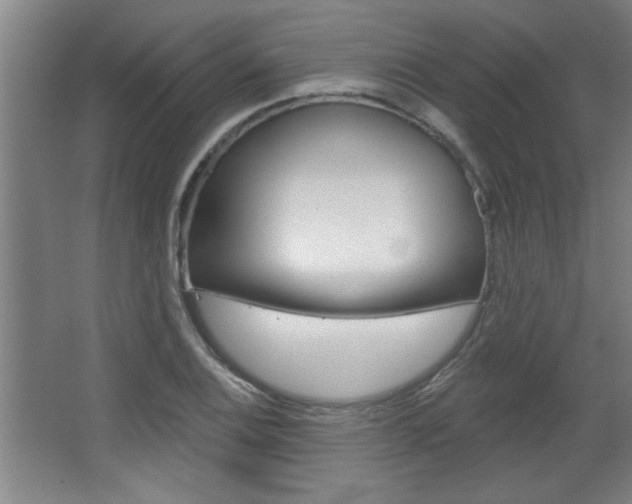 X0000068721124200604280917
