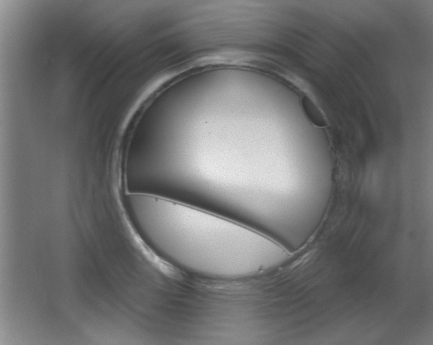 X0000068721131200604280917