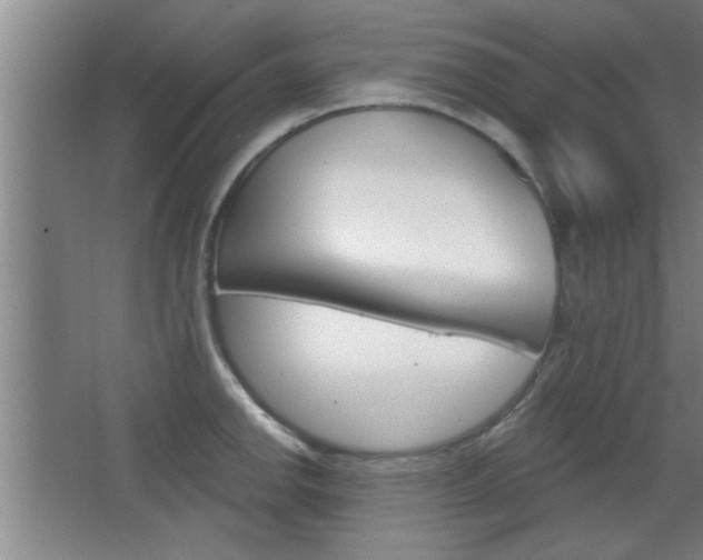X0000068721142200604280917