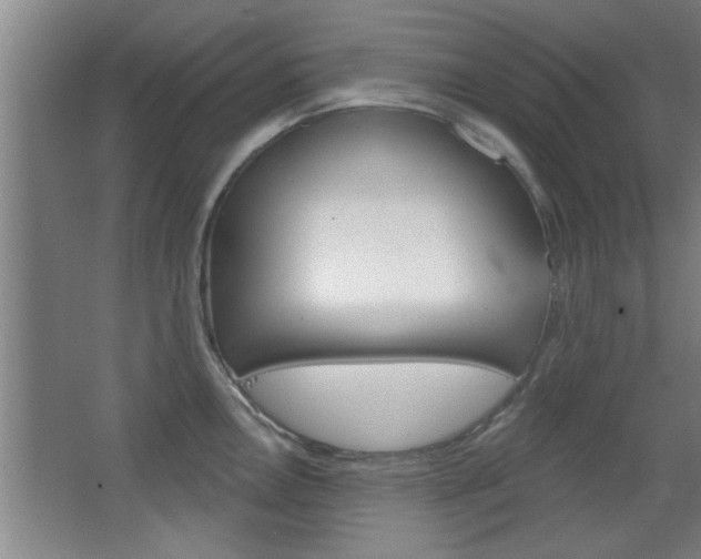 X0000068721146200604280917