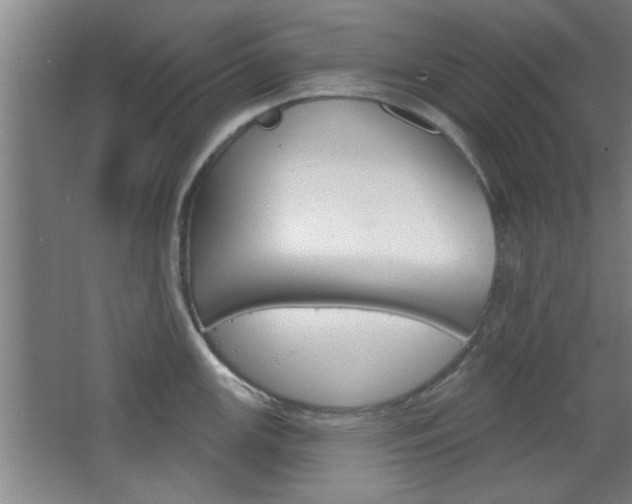 X0000068721147200604280917