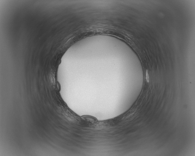 X0000068721155200604280917