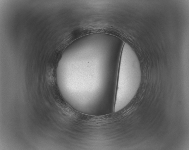 X0000068721156200604280917