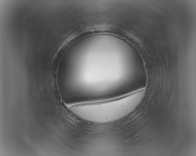 X0000068721160200604280917