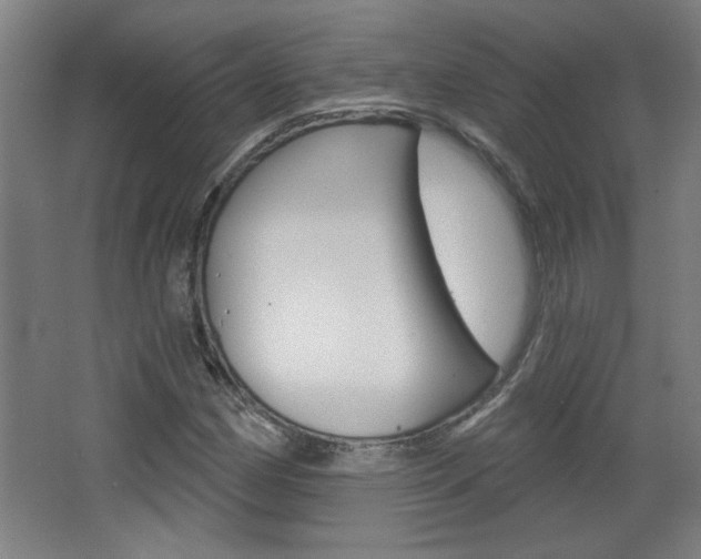 X0000068721162200604280917