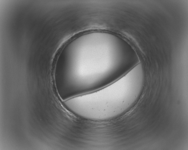 X0000068721168200604280916