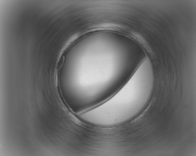 X0000068721180200604280916
