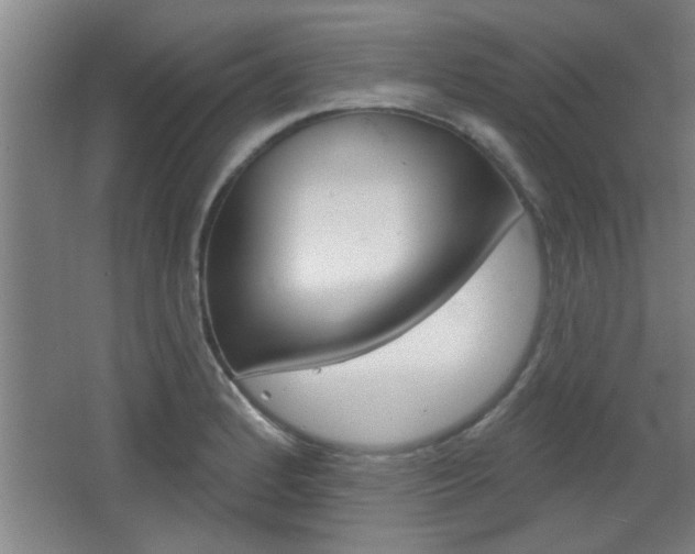 X0000068721184200604280916