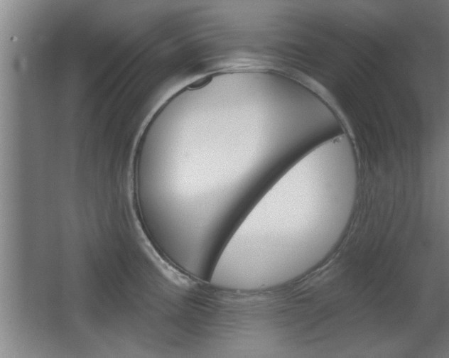 X0000068721195200604280916
