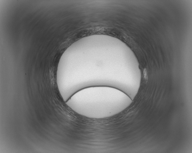 X0000068721203200604280915