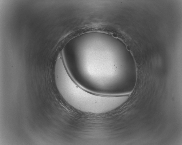 X0000068721206200604280915