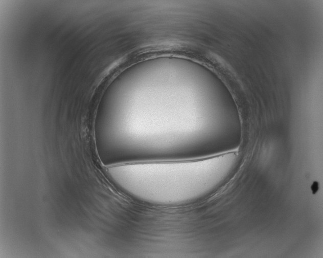 X0000068721210200604280915