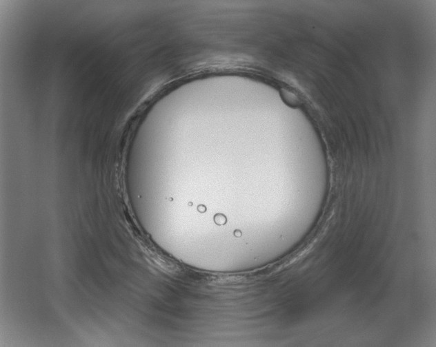 X0000068721211200604280915