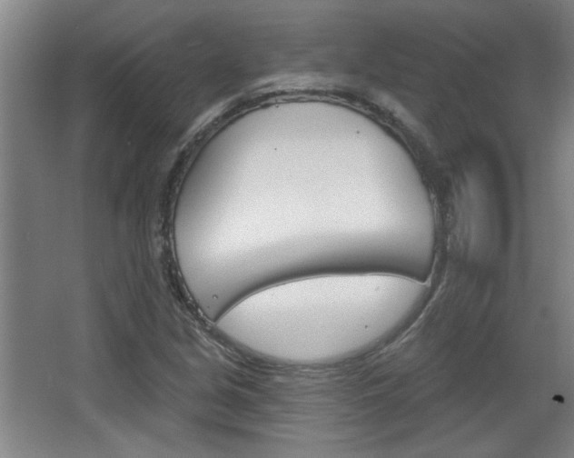 X0000068721213200604280915