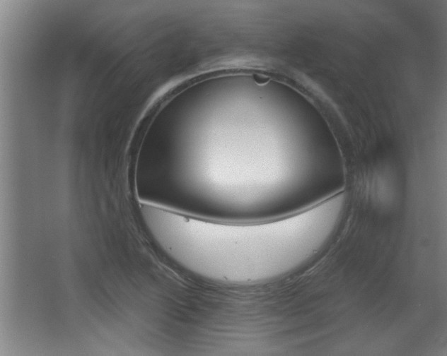 X0000068721222200604280915