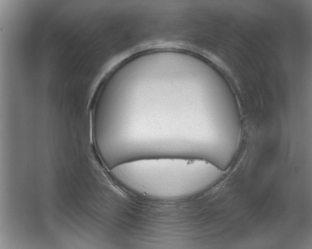 X0000068721223200604280915