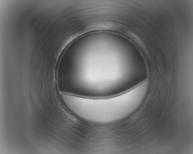 X0000068721226200604280915