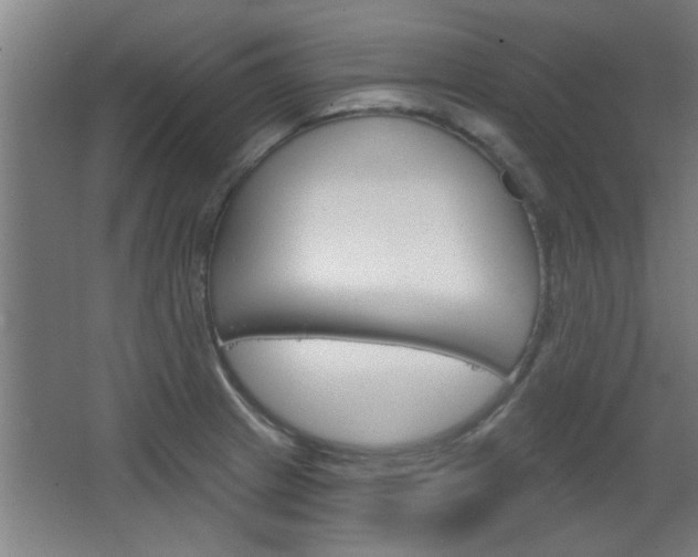 X0000068721233200604280916