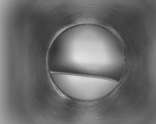X0000068721246200604280916