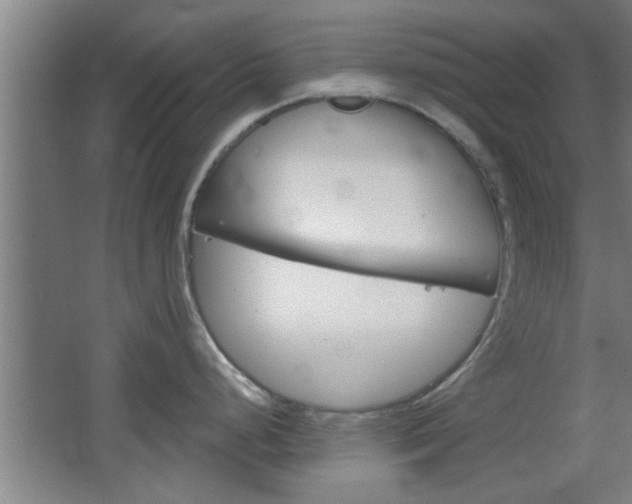 X0000068721248200604280916
