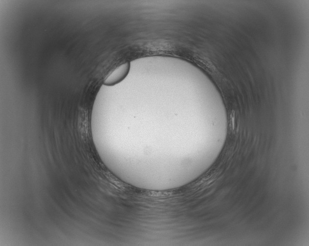 X0000068721251200604280915