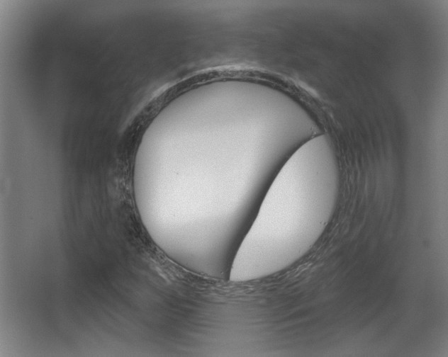 X0000068721255200604280915