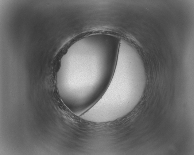 X0000068721256200604280915