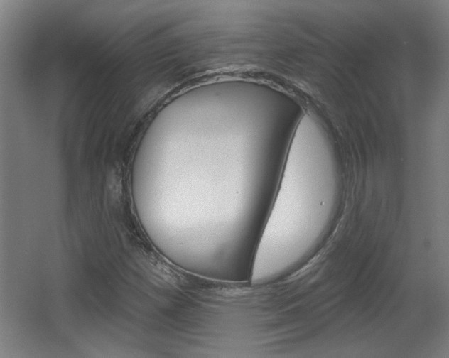 X0000068721257200604280915