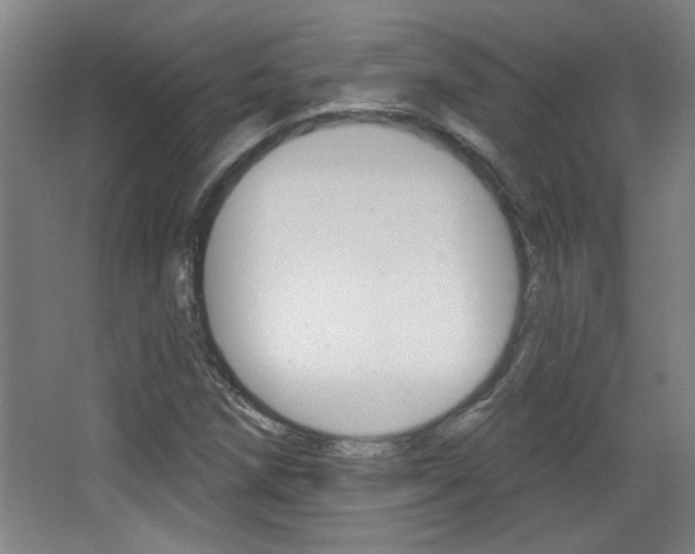 X0000068721258200604280915