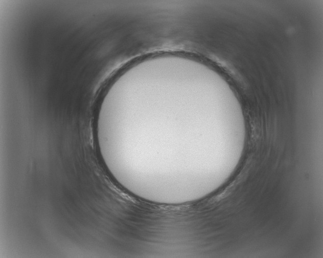 X0000068721262200604280915