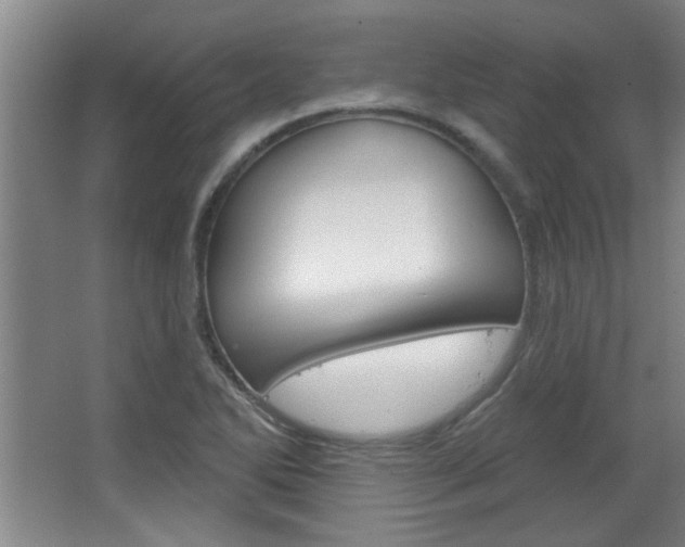 X0000068721270200604280915